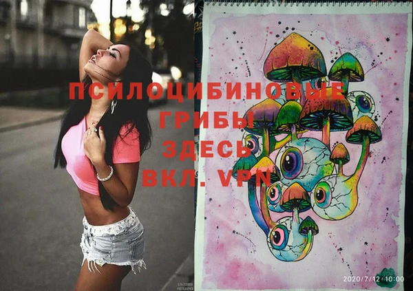 гашик Армянск