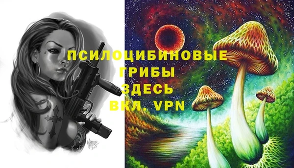 ALPHA PVP Алексин