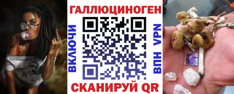 продажа наркотиков  Междуреченск  дарк нет состав  Псилоцибиновые грибы GOLDEN TEACHER 